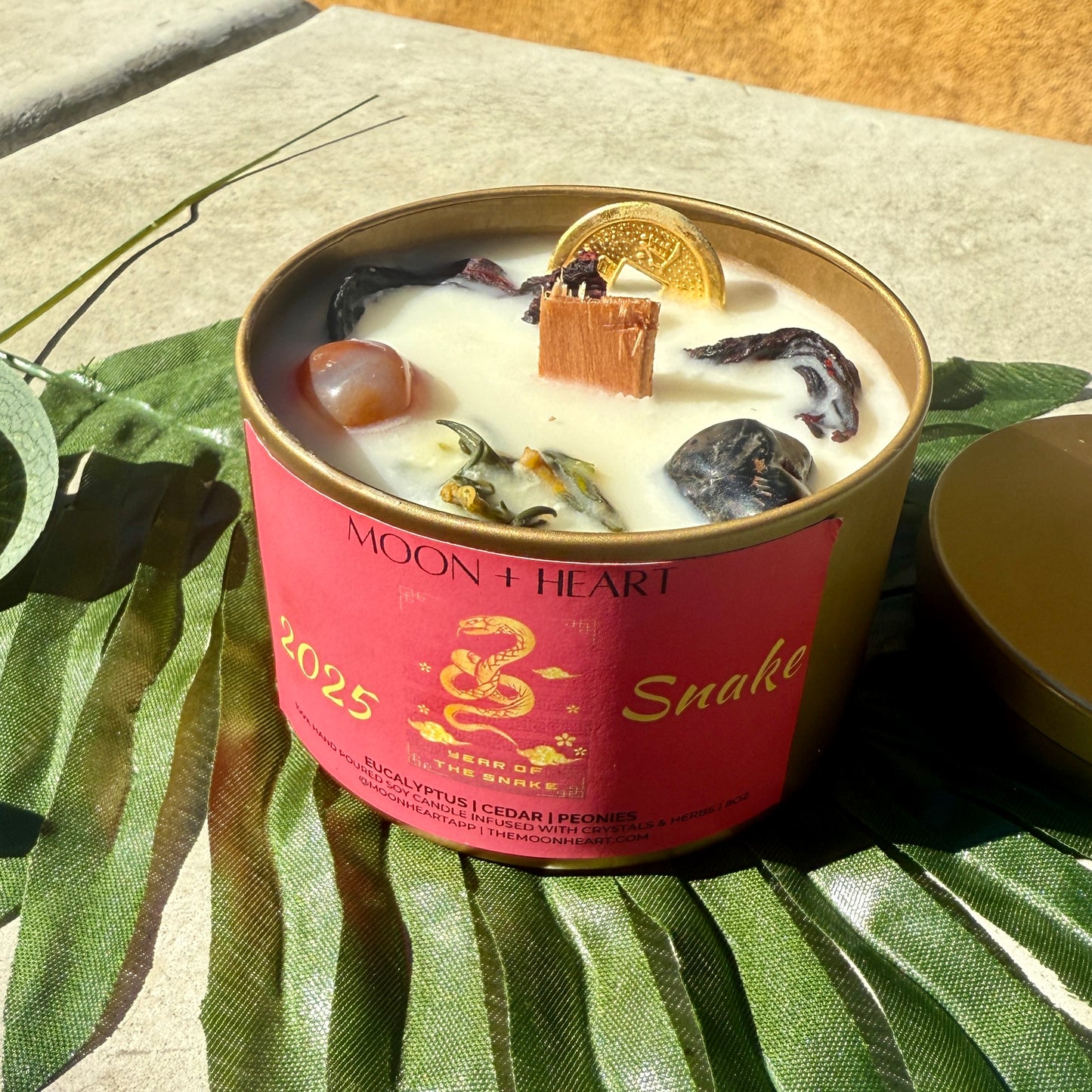 2025 Year of the Snake Intention Candle | Manifestation Candle with crystals and feng shui coin