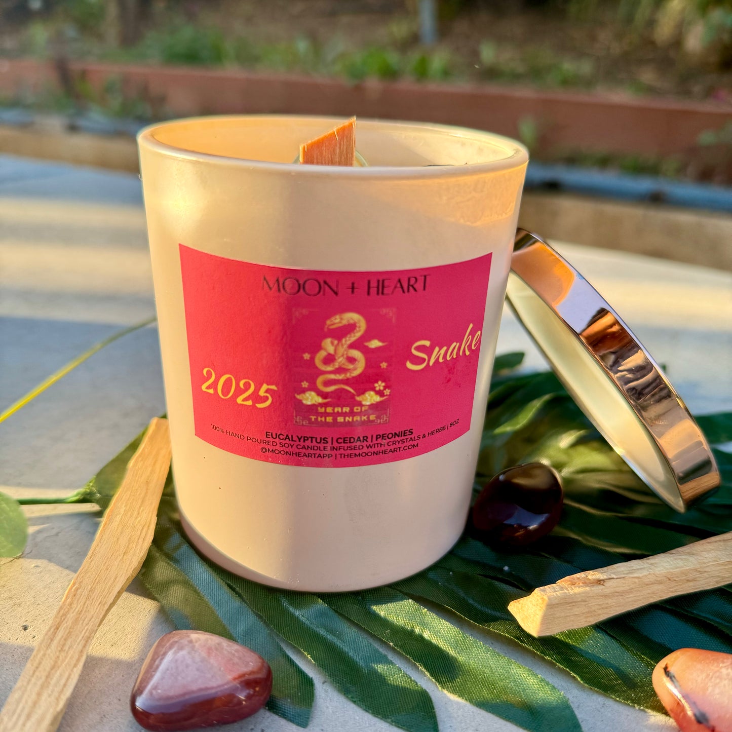 2025 Year of the Snake Intention Candle | Manifestation Candle with crystals and feng shui coin