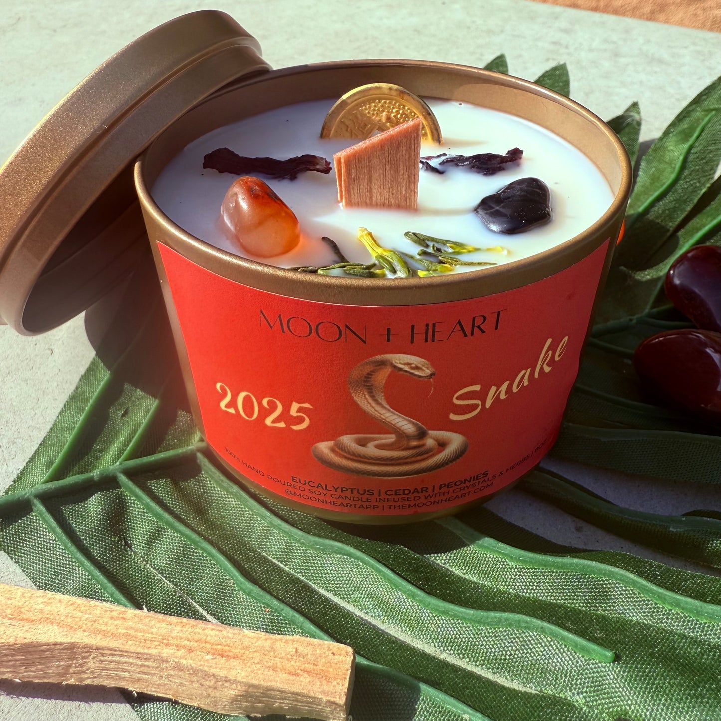 2025 Year of the Snake Intention Candle | Manifestation Candle with crystals and feng shui coin